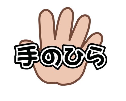 手のひら