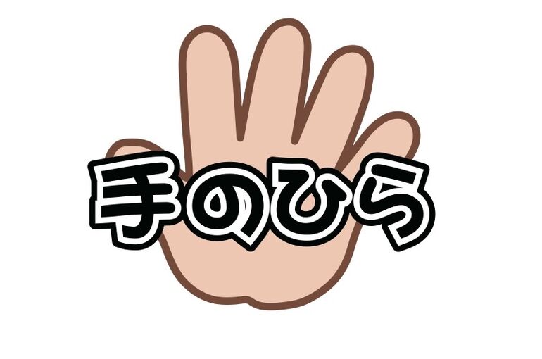 手のひら