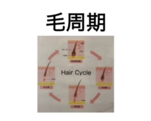 20F9CBF5-F422-43C7-BF74-FD470EE57C50