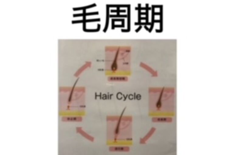 20F9CBF5-F422-43C7-BF74-FD470EE57C50